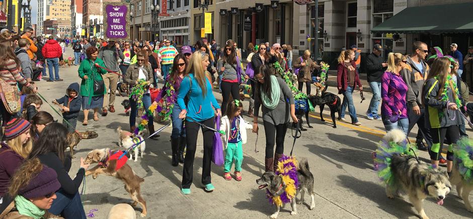 mardiGrowl